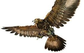 SS-97 Airazor (ROTB / Rise of the Beasts)